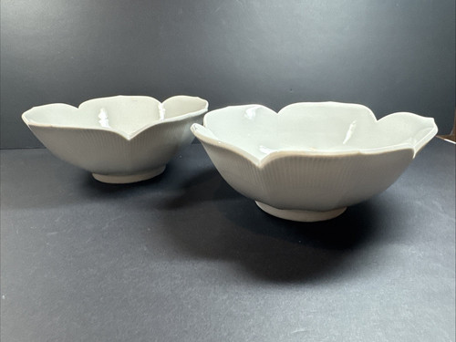 White flower petal - petal, pattern
