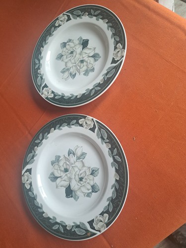 Vintage tienshan rice - 2,